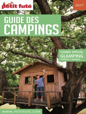 cover image of CAMPING 2017 Petit Futé